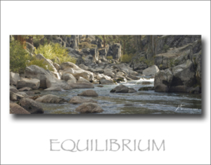 100526-12 Equilibrium