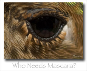 100607-14 Who Needs Mascara