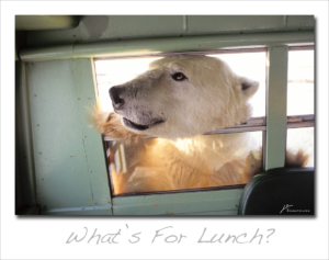 110725-73 Polar Lunch