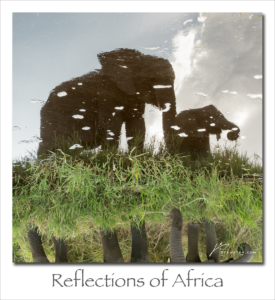 161003 Reflecions of Africa