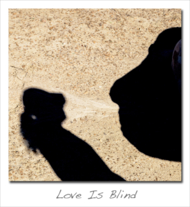180212 Love Is Blind