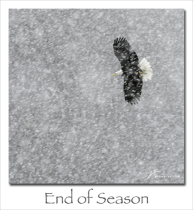 180409 End of Season