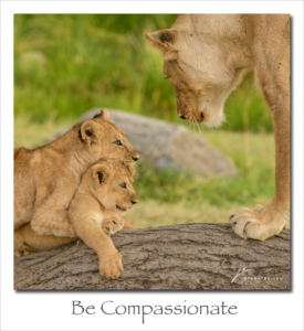 180723 Be Compassionate