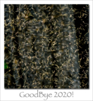 201228 Goodbye 2020