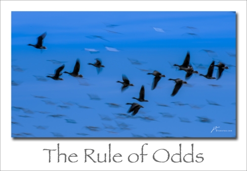 240219-The-Rule-of-Odds