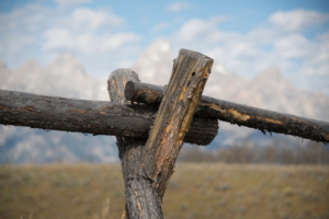 Pete McGing-Fence Post with Tetons_DSC7929