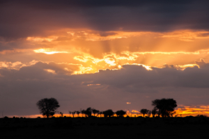 AP-Sunrise Serengeti 1