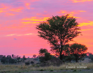 CW-Tanzania Sunset  (1 of 1)