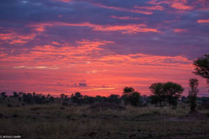MWC-Sunset in Serengeti