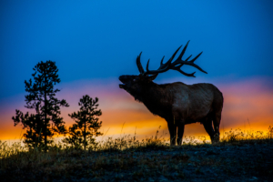 Andy Phan-Elk with the sunset 6