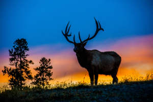 Andy Phan-Elk with the sunset 8