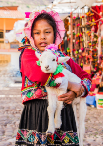 017-Peruvian girl with baby Alpaca