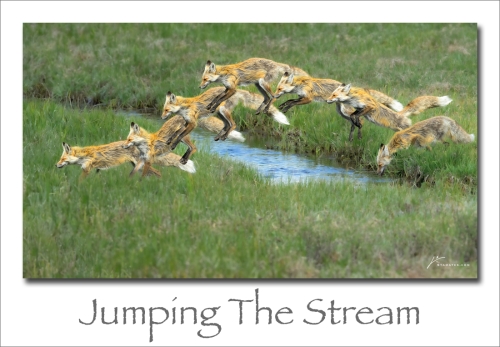 240701-Jumping-The-Stream