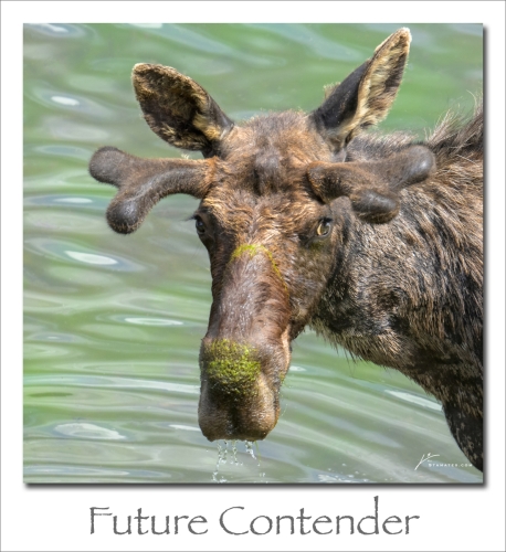 240715-Future-Contender