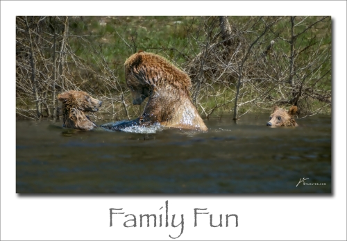 241125-Family-Fun