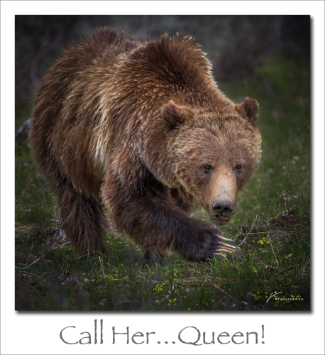 250106-Call-Her.Queen 