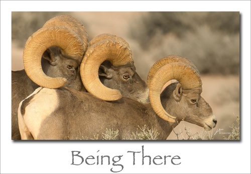 250210-Being-There