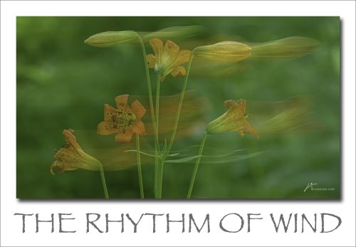 250908-The-Rhythm-of-Wind