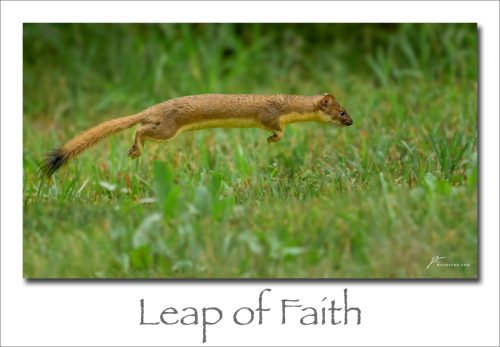 250929-Leap-of-Faith