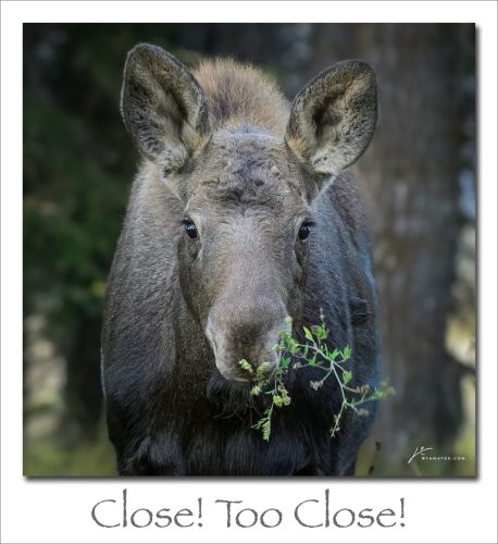 251027-Close-Too-Close