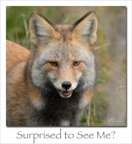 251103-Surprized-to-See-Me