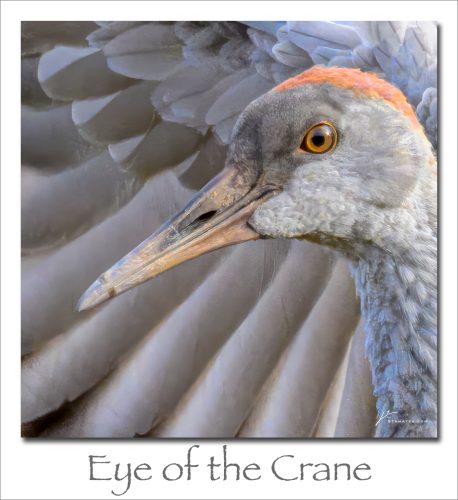 251222-Eye-of-the-Crane