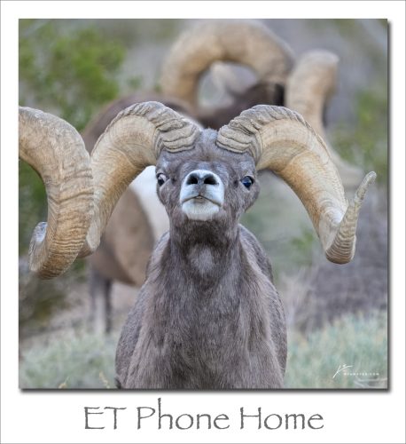260112-ET-Phone-Home