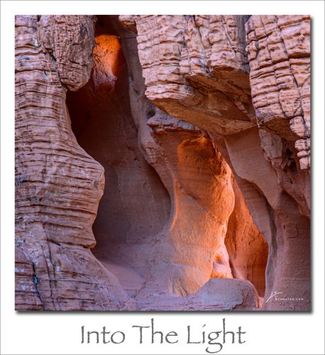 260119-Into-The-Light