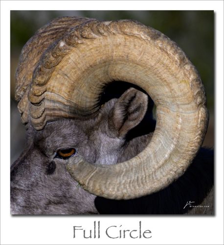 260209-Full-Circle