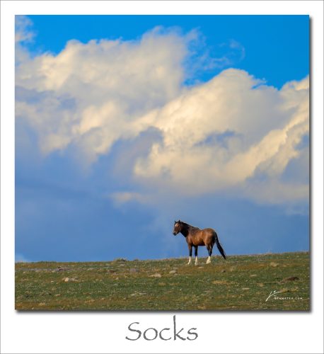 260323-Socks