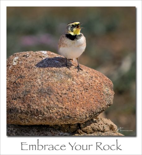 260330-Embrace-Your-Rock