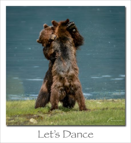 260406-Lets-Dance