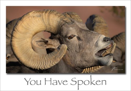 260504-You-Have-Spoken