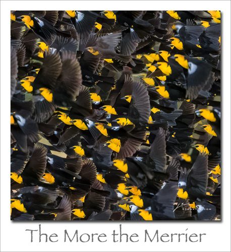 260622-The-More-the-Merrier